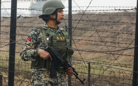 BSF nabs Bangladeshi national near border; hands him over to police