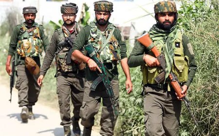 Combing op in Poonch after drone drops ‘IED’ along LoC