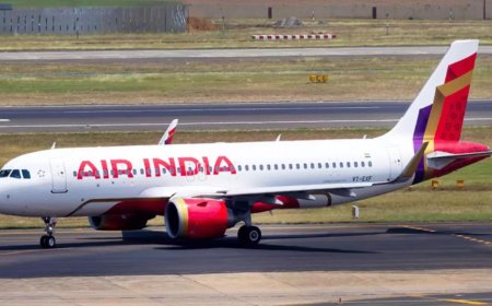 Pilot found tipsy in Vancouver, act by Jan 26: Canada to Air India