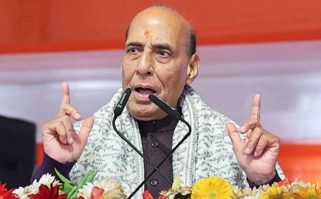 'Highly-educated people ... ': Rajnath Singh flags 'white-collar terrorism'; cites Delhi bomb blast