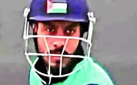Pulwama cricketer wears helmet with Palestinian flag sticker; cops start probe