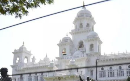 Two-child norm scrapped: Telangana minister cites low fertility rate; panchayat poll rules reset