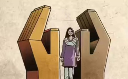 Private member bills seek to spotlight marital rape, menstrual leave, national commission for men