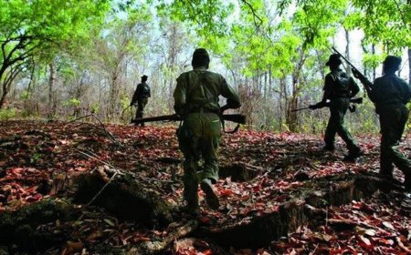 518 Reds killed in encounters in Chhattisgarh in past 2 years