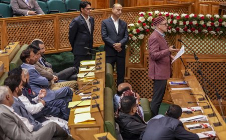 J&amp;K assembly’s budget session from February 2