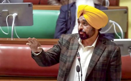 Akal Takht summons Mann over 'anti-Sikh remarks'