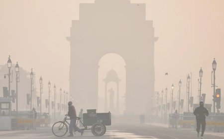 'Failing to do its duty': SC raps air quality body over Delhi pollution; orders to submit expert report in 2 weeks