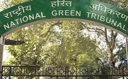 Ordnance unit to face criminal action for blast that killed 9: National green tribunal