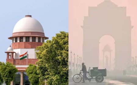 Supreme Court gives CAQM 2 weeks to ready sector-wise plans on pollution