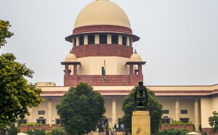 'Not only dog bites': SC flags road accidents due to strays; highlights civic lapses, warns states