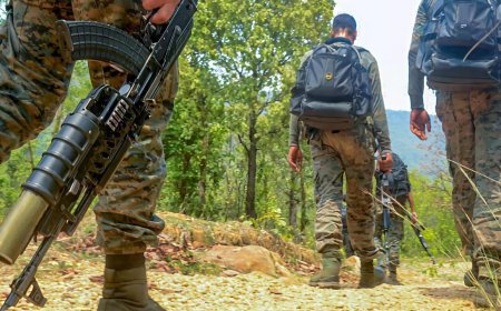 Jammu and Kashmir: Encounter breaks out between security forces and terrorists in Kathua; operation under way