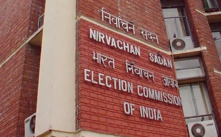 100 from around world to attend meet hosted by EC