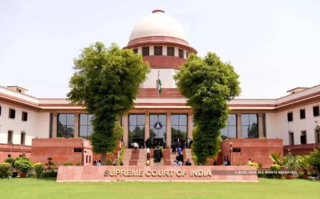 Stray dogs case: SC says ‘no order to remove every dog’; a 'cats and rats' quip