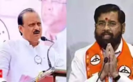 'Bid to occupy power': Shiv Sena-NCP join hands to block BJP; fresh twist to seize Ambernath civic body