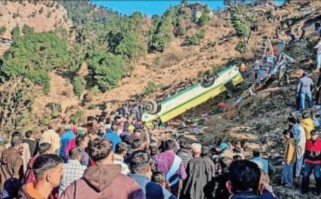 14 killed as bus plunges into 500m-deep Himachal gorge
