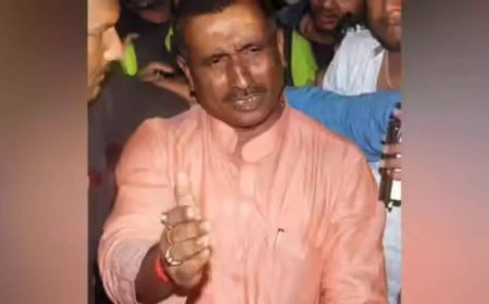'Exposing my identity': Unnao rape survivor pleads for help; blames Sengar's daughters