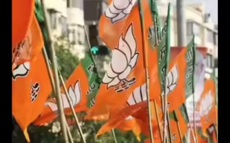 BJP drops Badlapur Pocso case accused as councillor