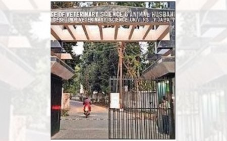 MP's 'gau mutra, gobar cancer project' funds splurged on cars, travel: Probe