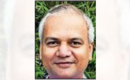 Rs 124 crore: Maharashtra speaker's brother richest BMC poll candidate