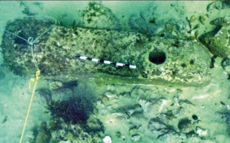 ASI preps for deeper digs to trace Krishna's ancient Dwarka