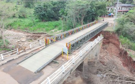 ‘Restoring connectivity’: First India-assisted Bailey Bridge opens in cyclone-hit Sri Lanka; part of $450 million aid package