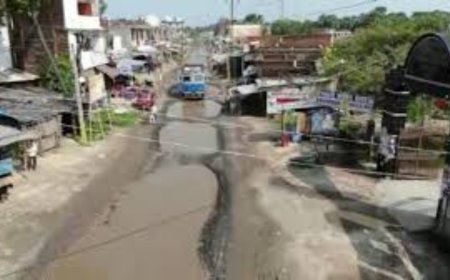 Bihar revs up to unwrap 'pothole prize'