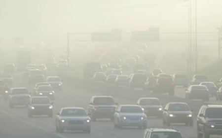 Study: Aerosols making winter fog worse in north India