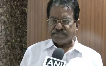 BJP putting pressure on censor board: DMK's TKS Elangovan on delay in release of Vijay's film