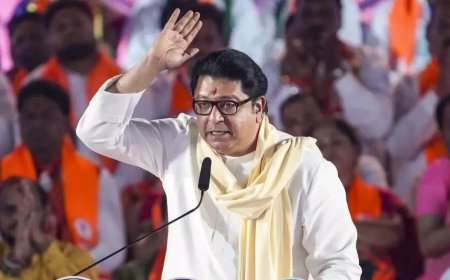 'I'll kick you': Raj Thackeray warns UP, Bihar migrants against Hindi imposition; calls it crisis