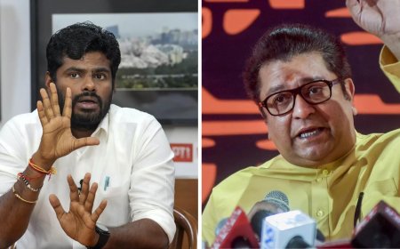 'Will come to Mumbai, try cutting my legs': BJP’s Annamalai fires back at Raj Thackeray; slams ‘rasmalai’ jibe