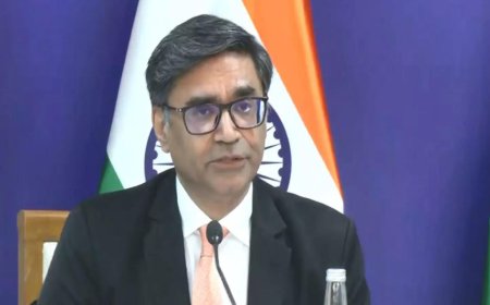 Baby Ariha case: PM Modi raises issue with Germany's Merz; who is the child