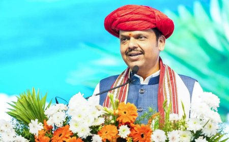 Maharashtra civic polls: EC bars Fadnavis government from dispersing 'Ladki Bahin' stipend for January; here's why