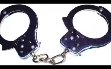 2 held for killing ex-law officer's wife in Punjab, cops say help planned it