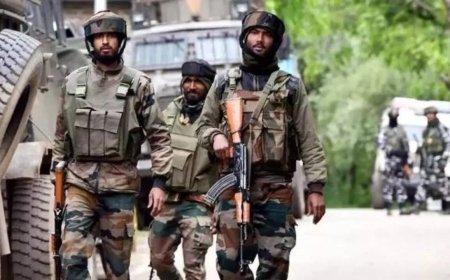 J&amp;K: Security forces launch search operations in Kathua; gunshots heard