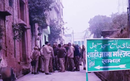 Sambhal violence case: Court orders FIR against ex CO, SHO; police to appeal