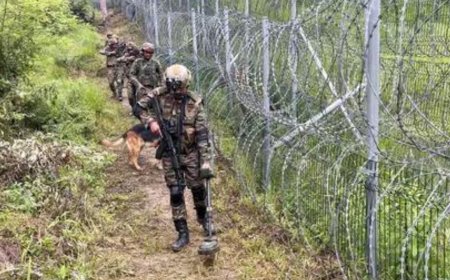 Gunshots heard during search op in Kathua; drones spotted in Rajouri