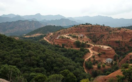 Aravali degradation: Encroachments, mining and urban sprawl hit ecology; study flags threat to groundwater, biodiversity