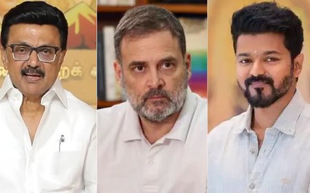 Rahul Gandhi’s support for Vijay’s 'Jana Nayagan': Message to DMK or push for new coalition with TVK in Tamil Nadu?
