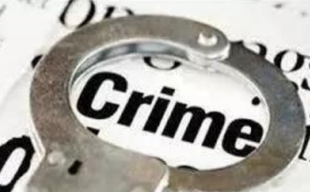 Hyderabad: NCB seizes 813 kilograms of ganja and arrests three in crackdown