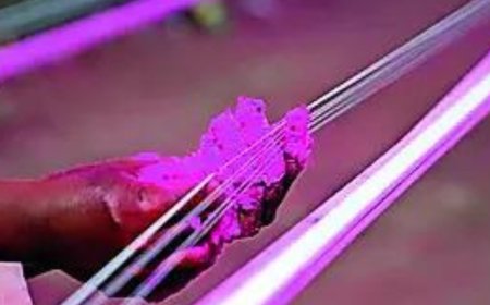 Doc among 3 killed by Chinese manja on Makar Sankranti