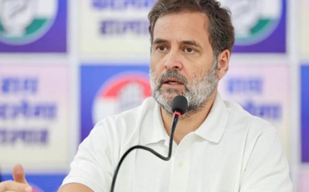 Rahul wants Tamil Nadu govt to be a coalition, claim Congress netas