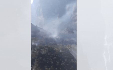 Video: IAF responds to Nanda Devi forest fire; Mi-17 V5 helicopter deployed at Joshimath