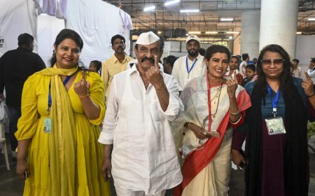 BMC election result 2026: When and where to watch live counting - all you need to know