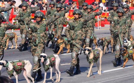 Israel envoy joins President, PM, Rajnath to hail Indian soldiers’ ‘indomitable courage and sacrifice’