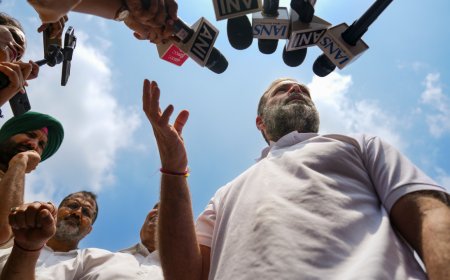 Indelible ink row: Rahul Gandhi accuses EC of ‘gaslighting’ voters - What does it mean?