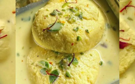 BMC election results 2026: Bengaluru BJP MP trolls Raj Thackeray with 'rasmalai'; Mahayuti sweeps polls