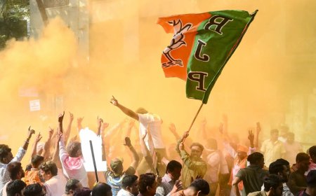 Maharashtra civic polls results 2026: Mahayuti surge dents Thackeray camps; Congress falters - highlights