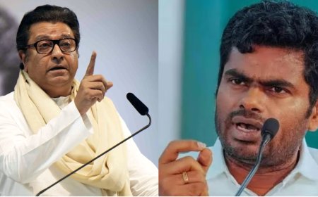 BMC election results 2026: BJP trolls Raj Thackeray with 'rasmalai'; Annamalai says Mumbaikars chose substance over divisiveness