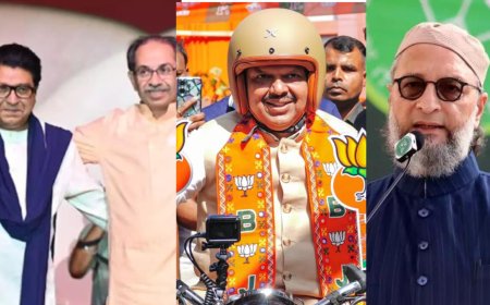 Maharashtra civic poll results 2026: BJP dominates, AIMIM expands, Congress finds foothold - 5 key takeaways
