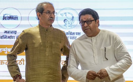 Thackerays lose control of BMC: What's next for Uddhav and his Sena